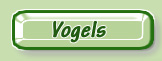 Birds Oiseaux Vögel
