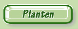 Plants Plantes Pflanzen