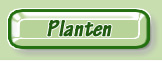 Plants.     Plantes.     Pflanzen.